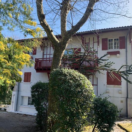 Apartament Le Ptit Moulleau Arcachon Zewnętrze zdjęcie